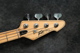 1979 Peavey T40, Natural